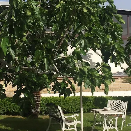 齐亚碧住宿加早餐旅馆 住宿加早餐酒店 那不勒斯