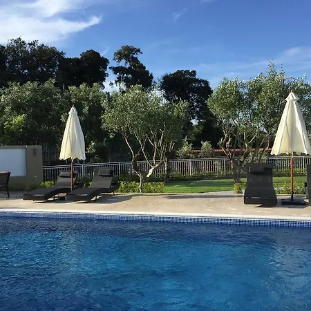 Bed & Breakfast Zia Bi Neapol