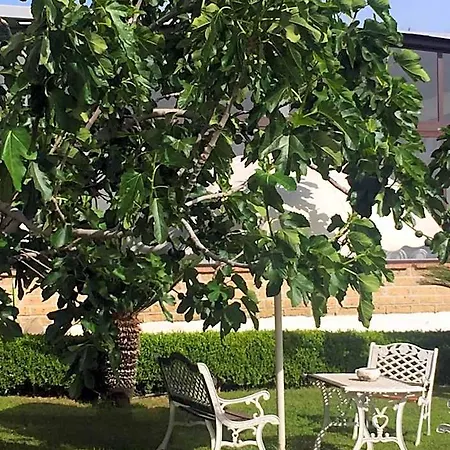 Bed & Breakfast Zia Bi Naples