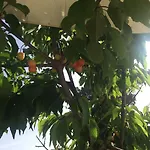 Zia Bi B&B 4*