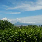 Zia Bi B&B 4*